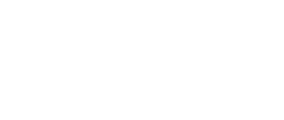 Vivanchy Logo